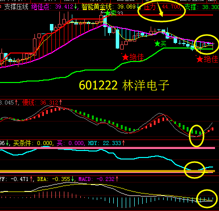 徐老师第7个福利票来了