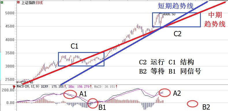 今晚解答