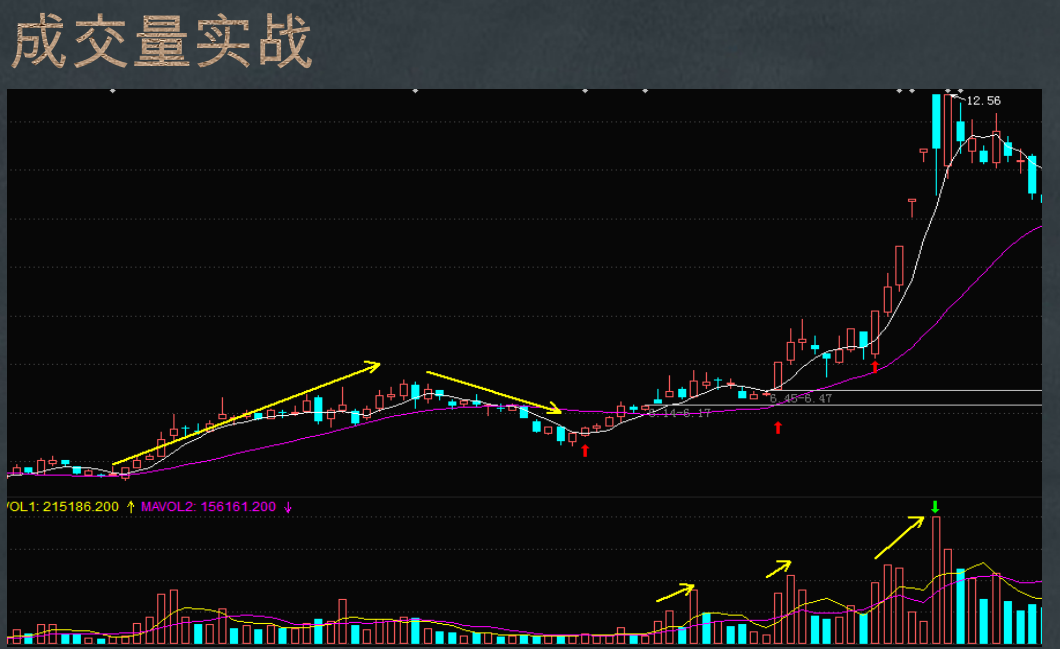 再次提醒（必看）