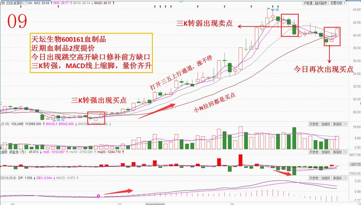 20160829(一)牛股涨升模型与共性